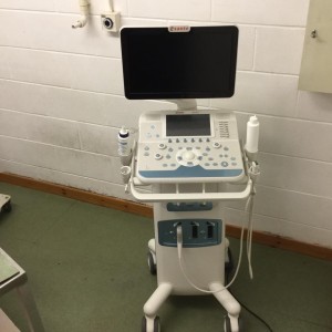 Meet our new 'my lab six' ultrasound machine!