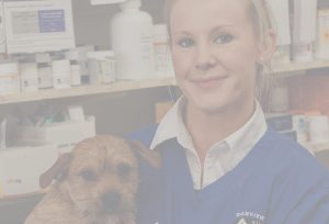 Donview Wets Inverurie - vet with puppy