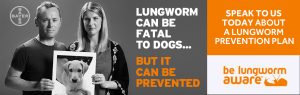 lungworm in dogs