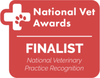 national vet awards